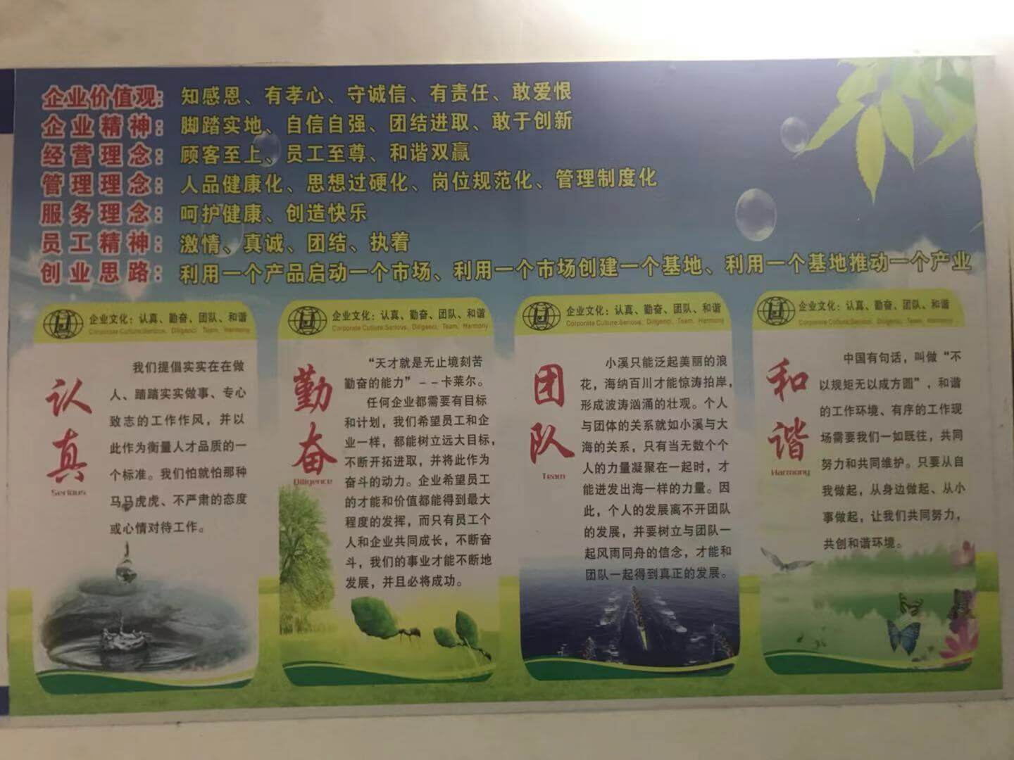 團隊風采3